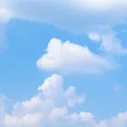 事業内容